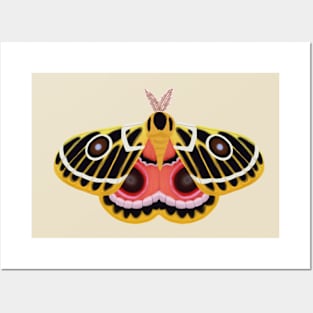 free moth Posters and Art